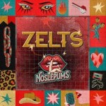 Noslepums-Zelts-CD-muzikaspasaule
