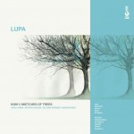 KOKI // SKETCHES OF TREES
